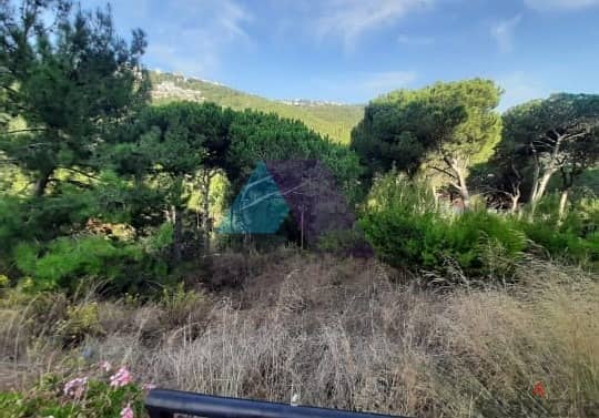 1000 SQM Land+Mountain View 4 Sale in Monteverde -أرض للبيع مونتيفردي 1