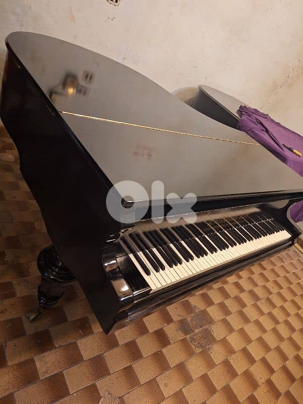 baby grand piano بيانو نمساوي خارق النظافة للعذف صوت نقي رائع جدا 2