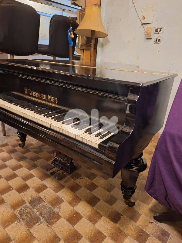 baby grand piano بيانو نمساوي خارق النظافة للعذف صوت نقي رائع جدا 4