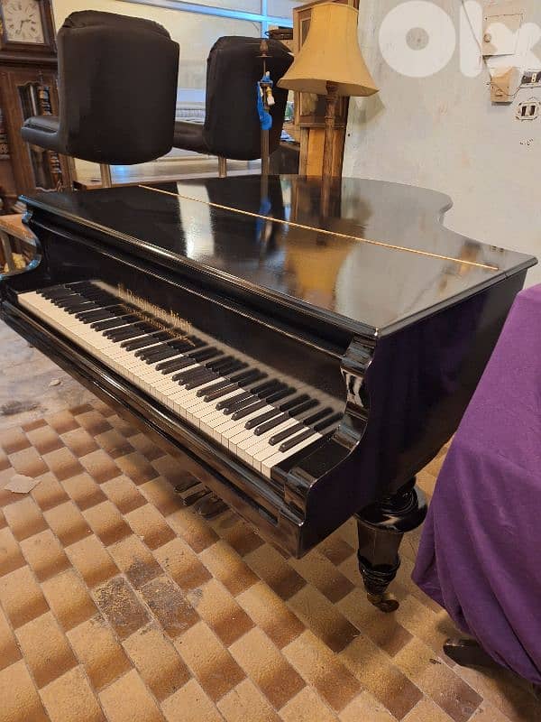 baby grand piano بيانو نمساوي خارق النظافة للعذف صوت نقي رائع جدا 5
