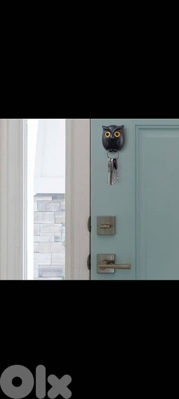 opening eyes owl hook 4