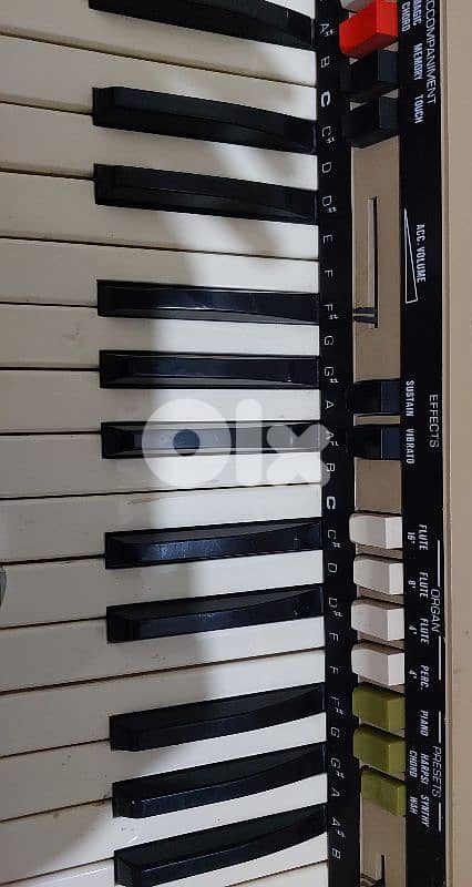 اورج جيم الايطالي 0