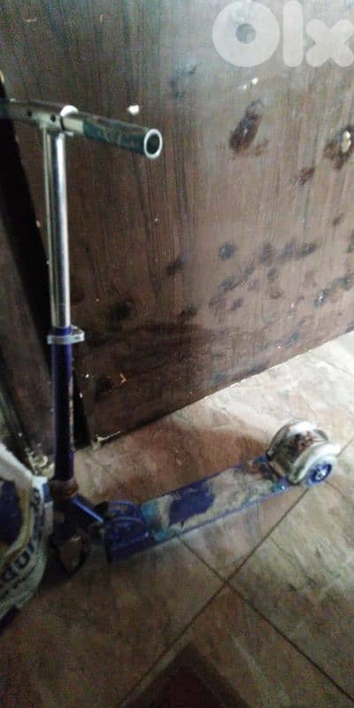 سكوتر اصلي بيتسكر 0