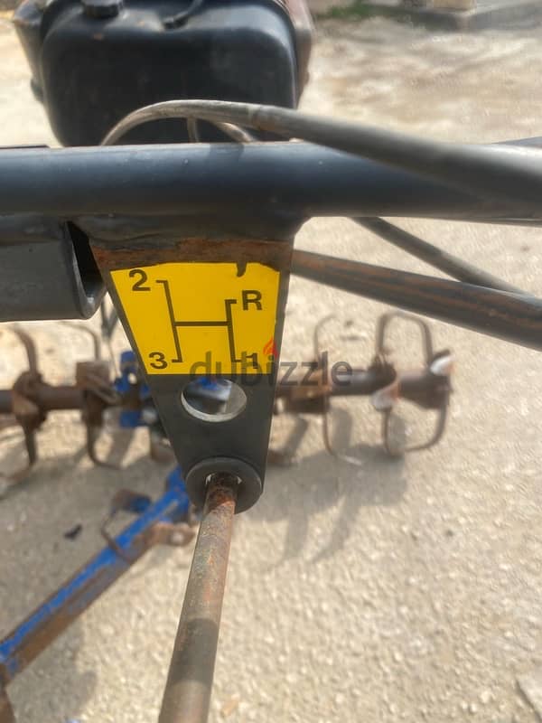 فلاحة ايطالية sep 4