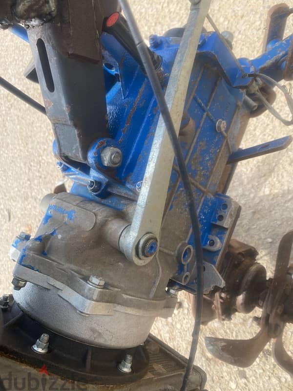 فلاحة ايطالية sep 5