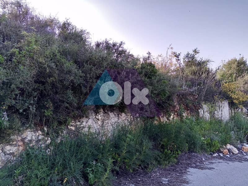 A 4064 SQM Land+Mountain view 4 Sale in Batroun-Edde  - البترون - إده 2