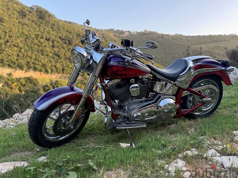 Fatboy screaming eagle, CVO 2006 6