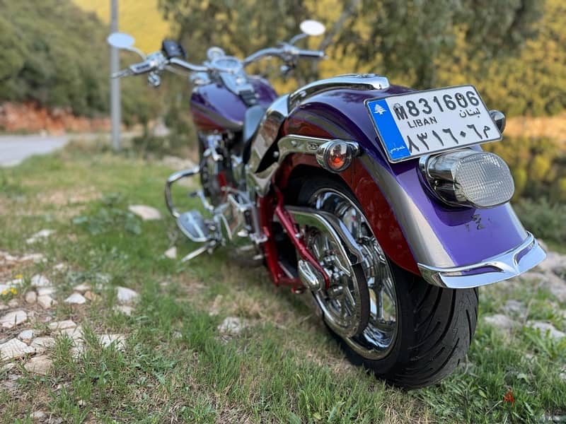 Fatboy screaming eagle, CVO 2006 9