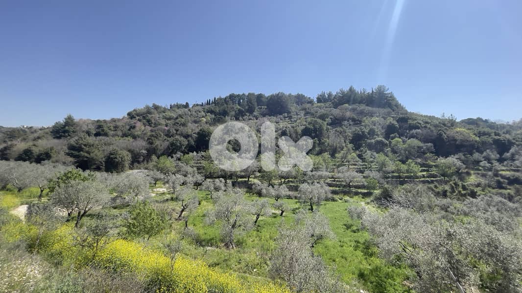 RWB229CA - Land for sale in Chamat Jbeil 0
