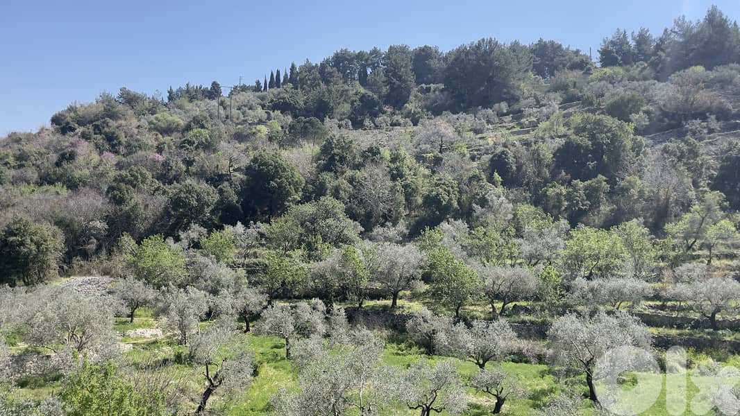 RWB229CA - Land for sale in Chamat Jbeil 1