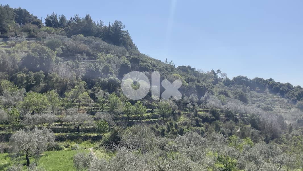 RWB229CA - Land for sale in Chamat Jbeil 2