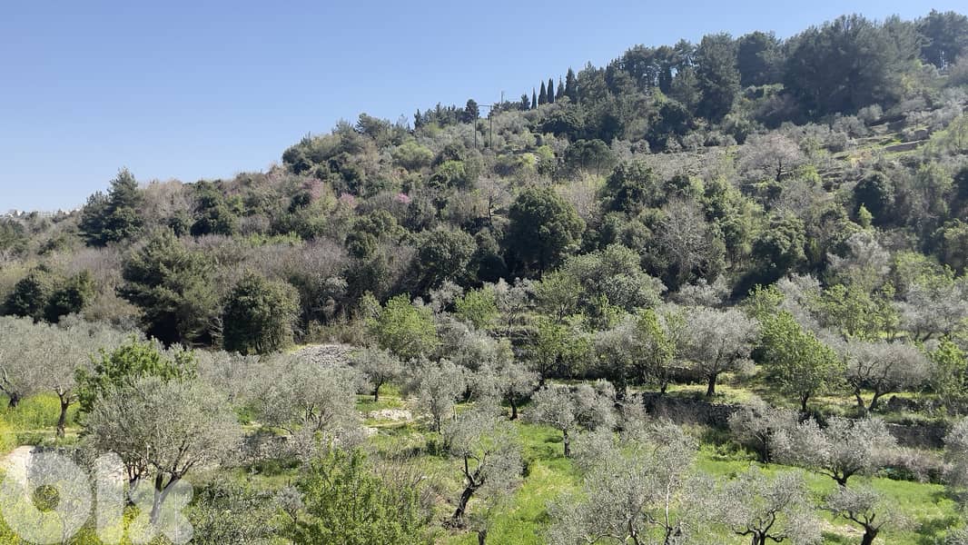 RWB229CA - Land for sale in Chamat Jbeil 3
