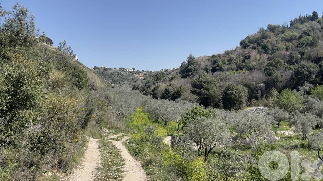 RWB229CA - Land for sale in Chamat Jbeil 4