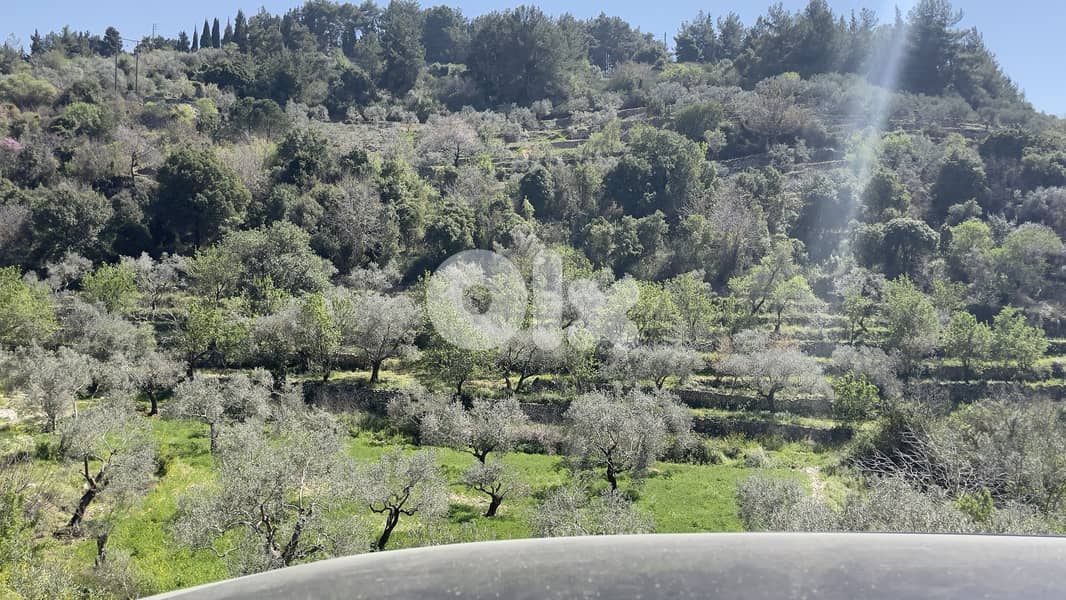 RWB229CA - Land for sale in Chamat Jbeil 6