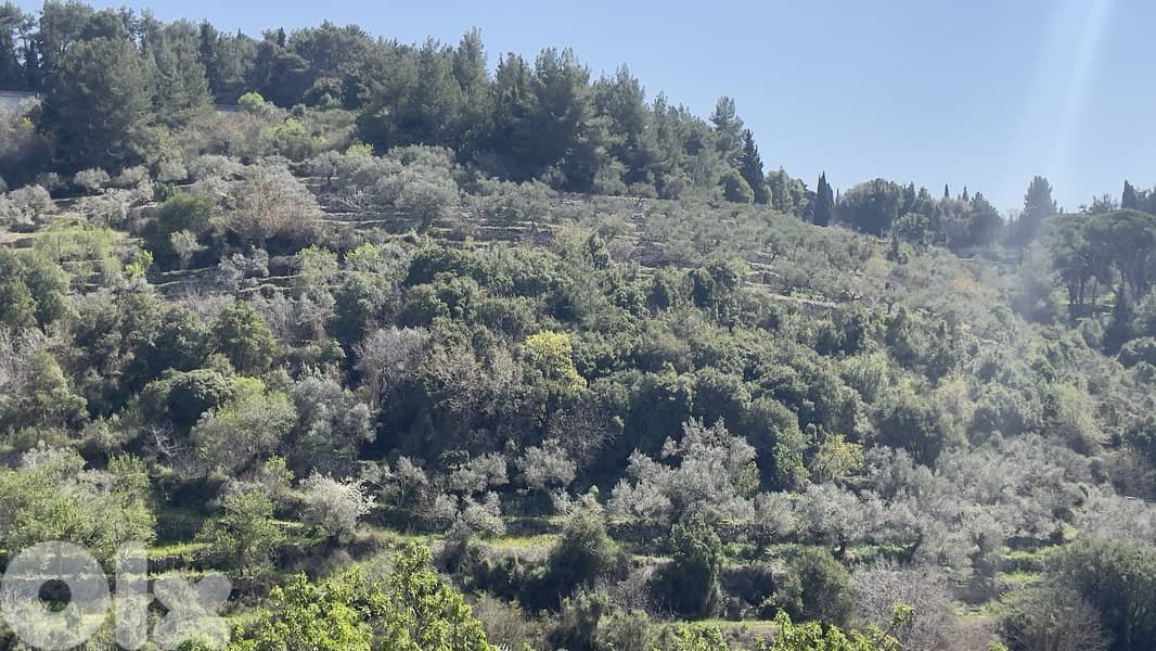 RWB229CA - Land for sale in Chamat Jbeil 7