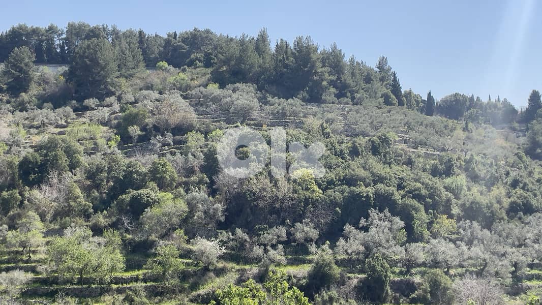 RWB229CA - Land for sale in Chamat Jbeil 8