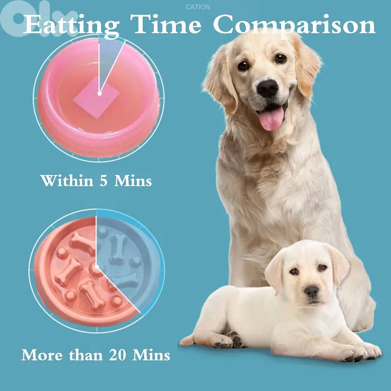 Slow Feeder Dog Bowl 3