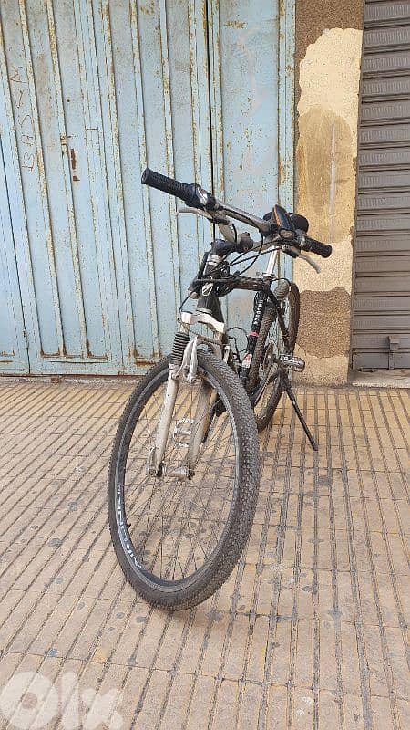 Bike for teens and adults 1