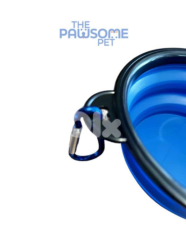 Pawsome's Collapsible Bowl 5