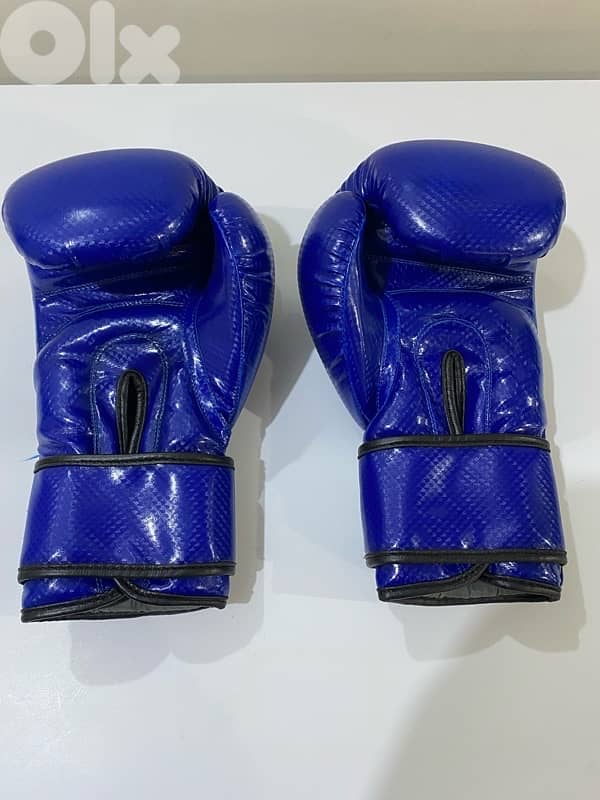 boxing gloves 1