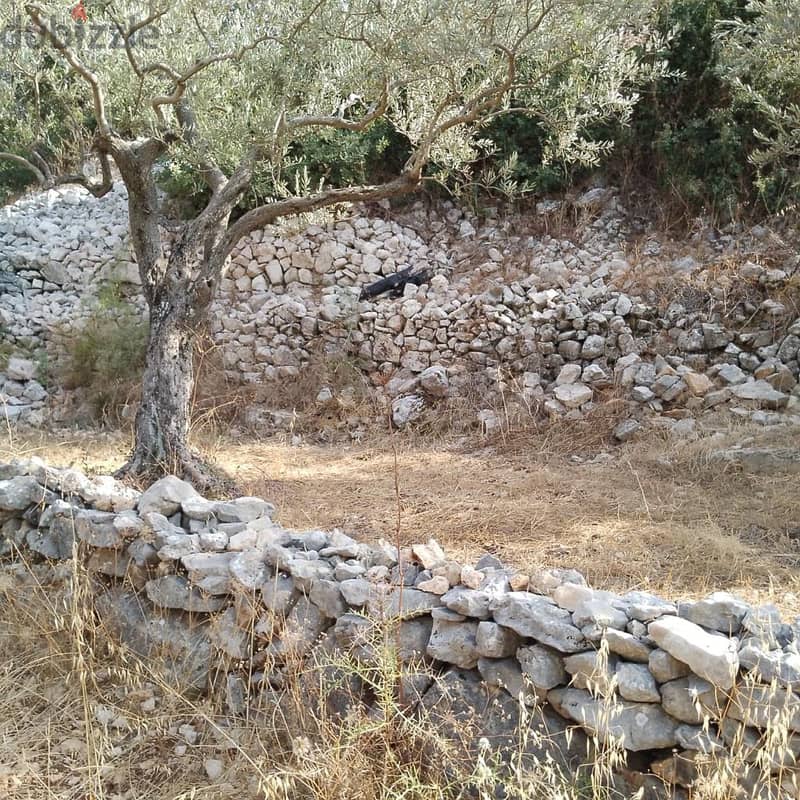 Land for sale in Derya-Batroun أرض للبيع في دريا - البترون 0