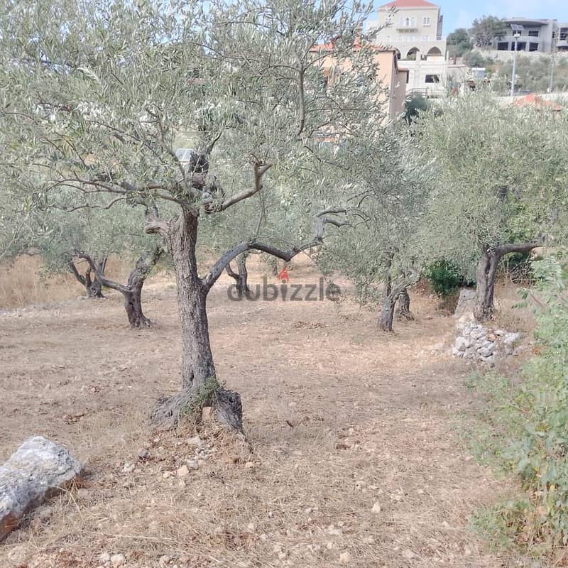 Land for sale in Derya-Batroun أرض للبيع في دريا - البترون 1