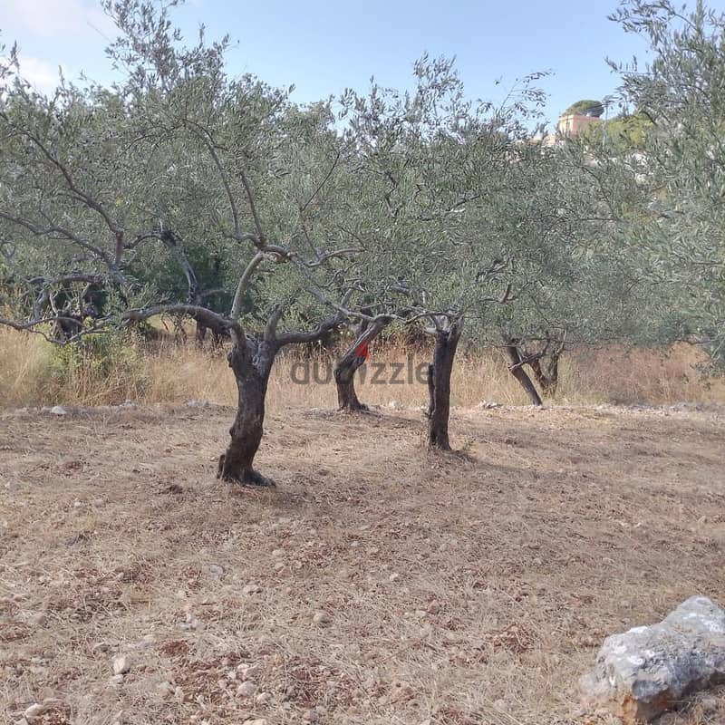Land for sale in Derya-Batroun أرض للبيع في دريا - البترون 2