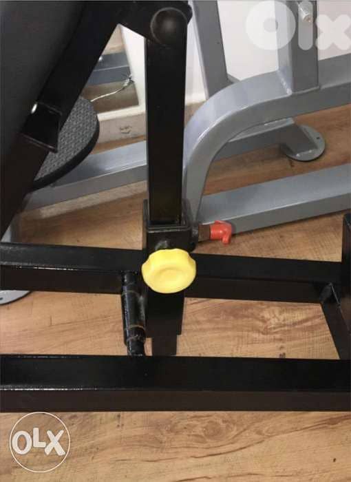 Adjustable professional Bench 1