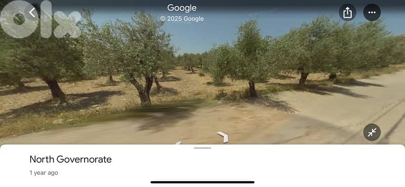 land for sale bziza 1