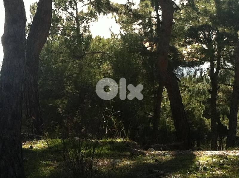 Dahr Sawan Prime Land 1