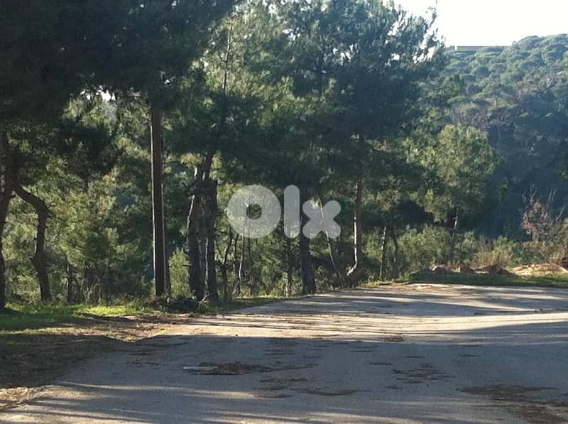 Dahr Sawan Prime Land 2