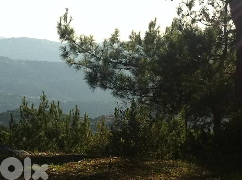 Dahr Sawan Prime Land 3