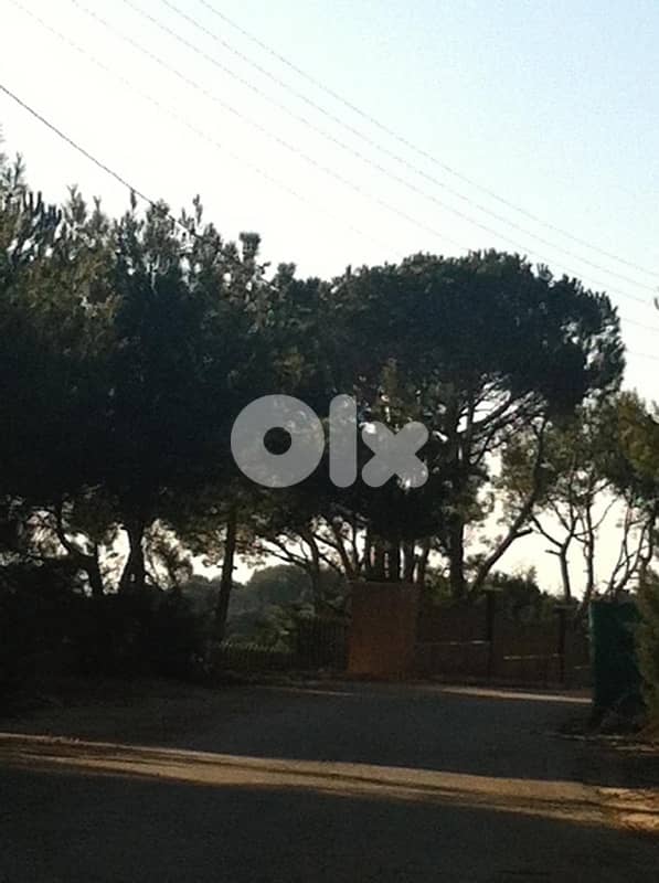 Dahr Sawan Prime Land 5