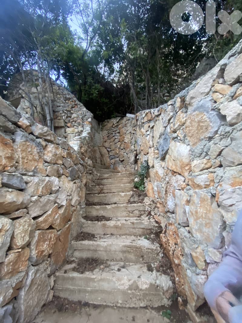 RWB114EG - Land for sale in Adonis Jbeil 3