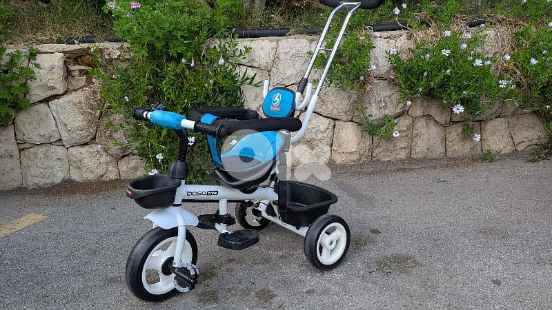 Boso Tricycle (Age 12 months ++) 0