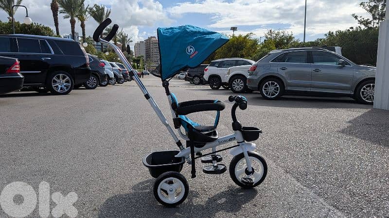 Boso Tricycle (Age 12 months ++) 7