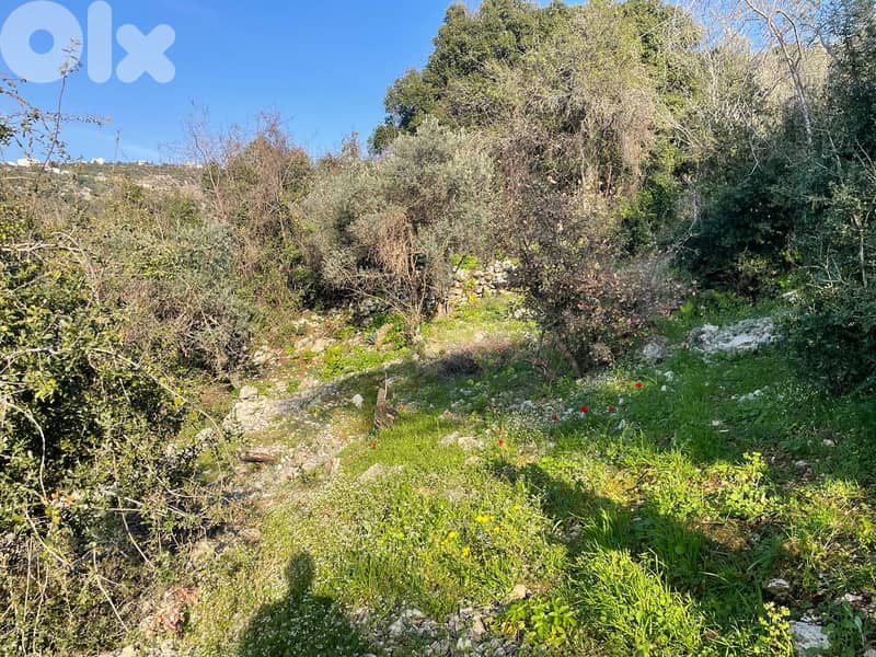 RWB153PK - Land for sale in Kfoun Jbeil 0