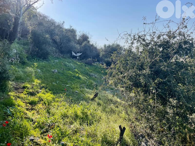 RWB153PK - Land for sale in Kfoun Jbeil 1