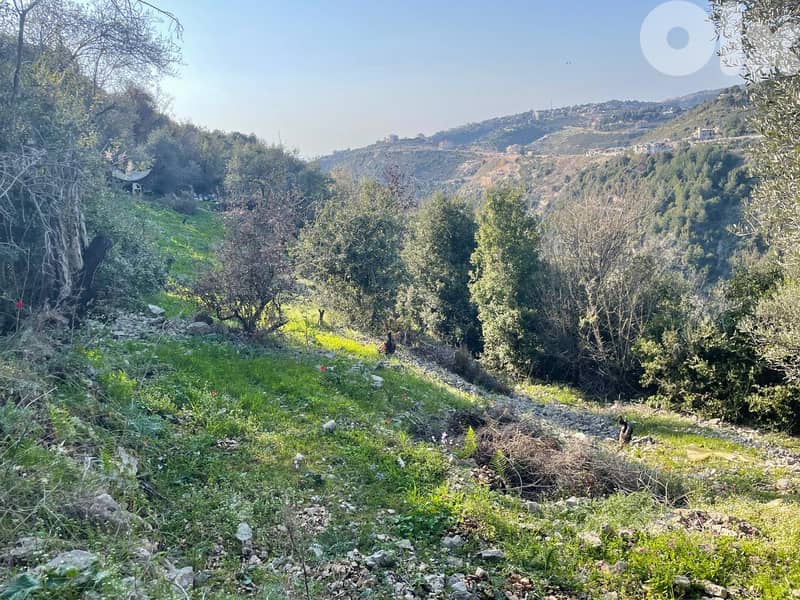 RWB153PK - Land for sale in Kfoun Jbeil 2