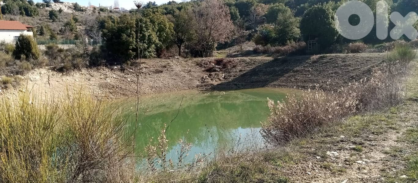 RWB154PK - Land with house for sale in Mechmech Jbeil 0