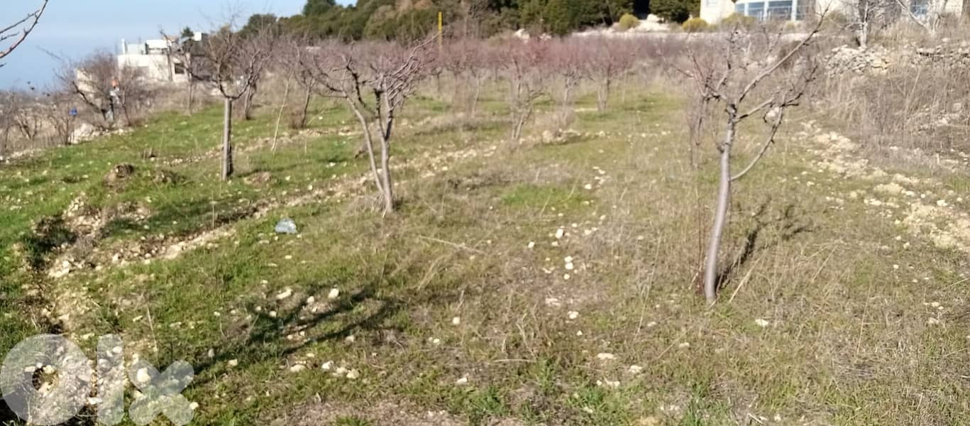 RWB154PK - Land with house for sale in Mechmech Jbeil 2