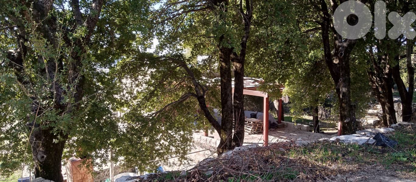 RWB154PK - Land with house for sale in Mechmech Jbeil 7