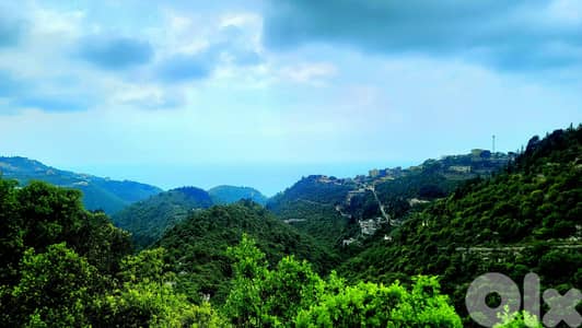 Beautiful Land for sale in Keserouan Ghedras أرض جميلة للبيع في كسروان