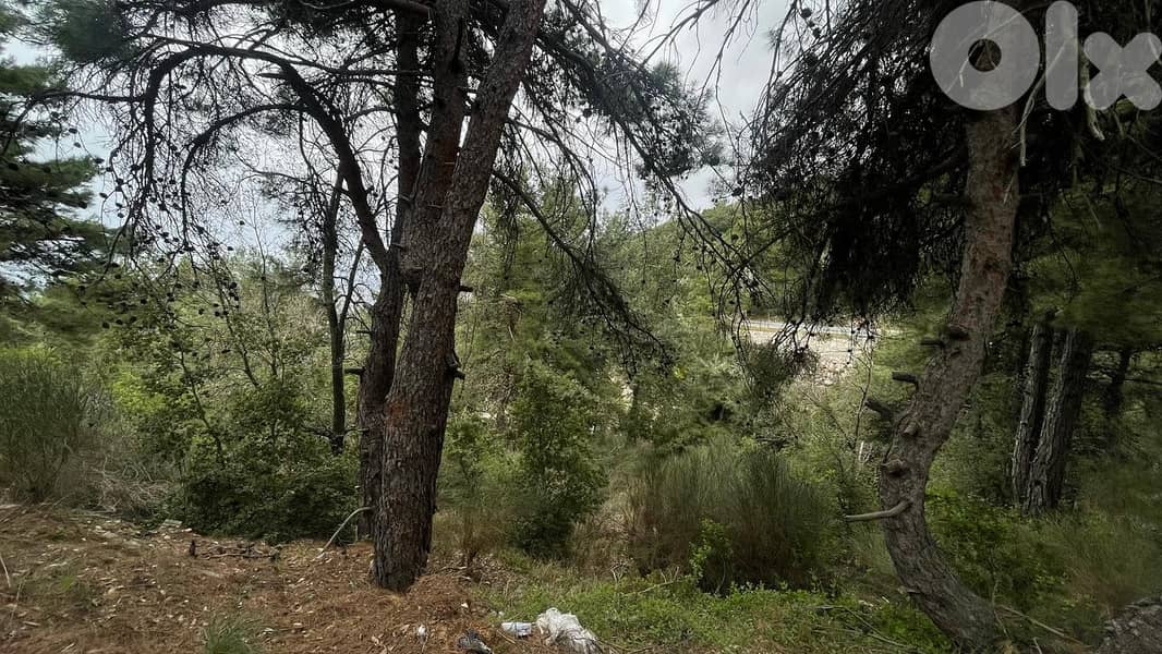 RWB132SN - Land for sale in Barhalioun - Becharre 4