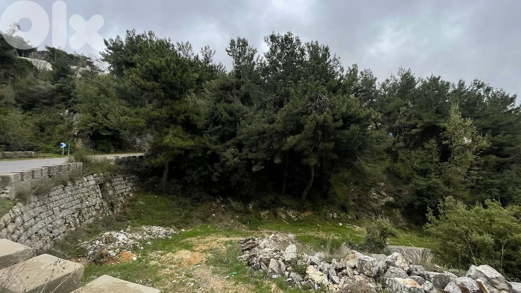 RWB132SN - Land for sale in Barhalioun - Becharre 7