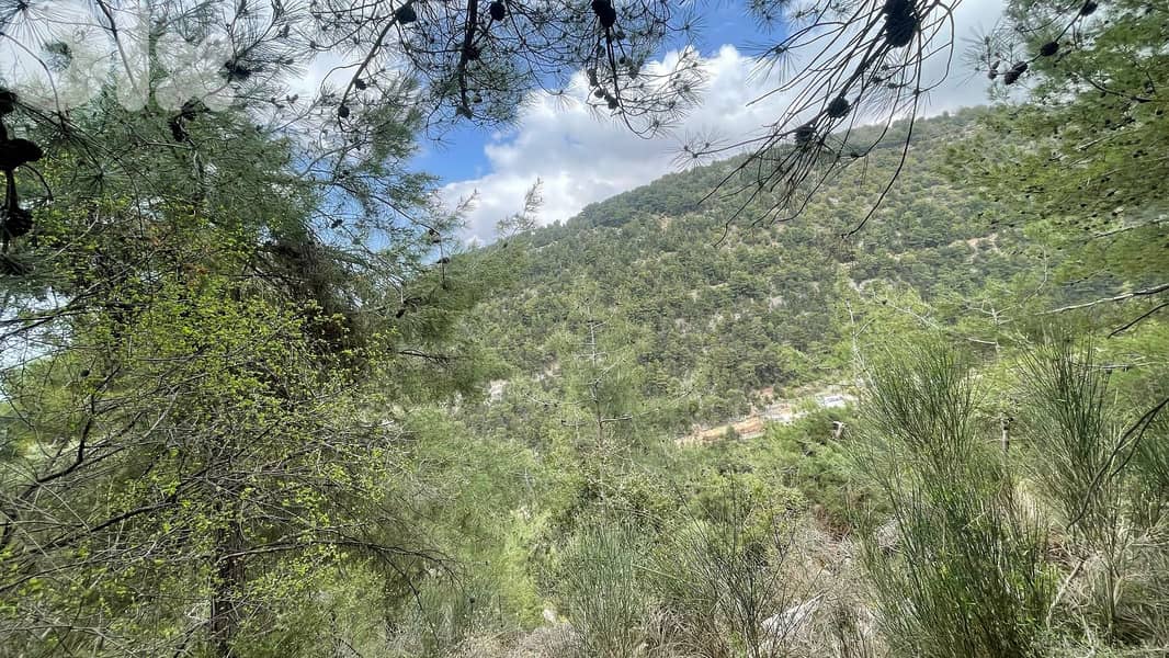 RWB138SN - Land for sale in Behouaita - Zgharta 2