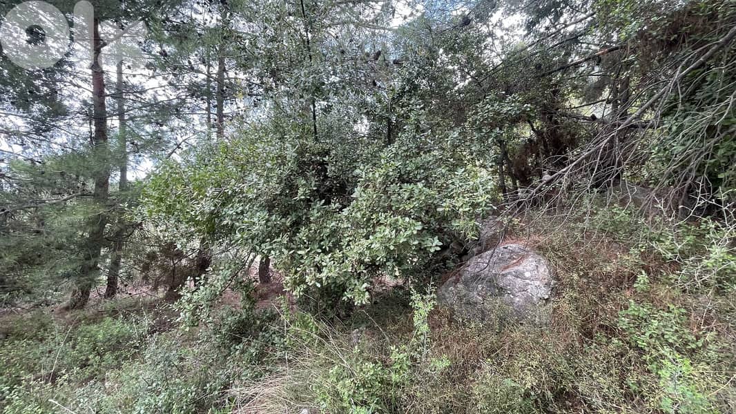 RWB138SN - Land for sale in Behouaita - Zgharta 3