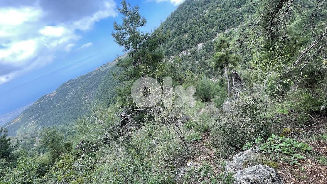 RWB138SN - Land for sale in Behouaita - Zgharta 4
