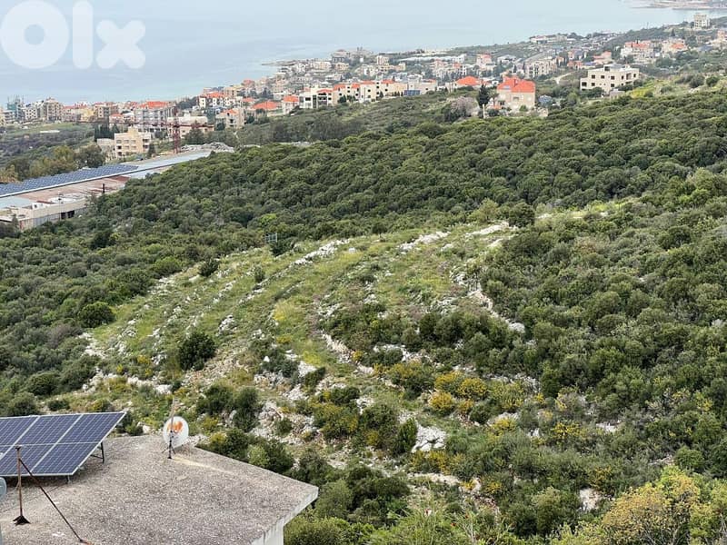 Land for sale in Thoum - أرض للبيع في تحوم 0