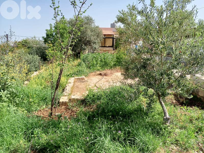A house with a terrace for sale in Batroun-البترون 0